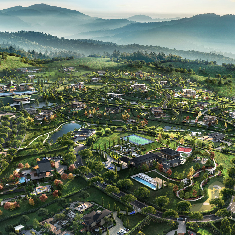 Anyara Hill